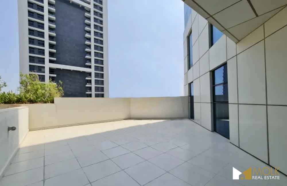 Appartement 3 chambres avec immense terrasse